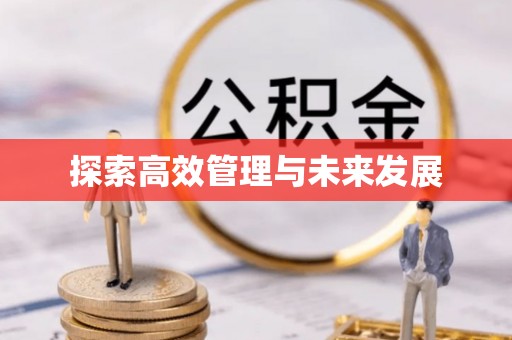 京山探索高效管理与未来发展