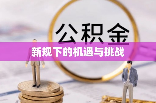 京山新规下的机遇与挑战