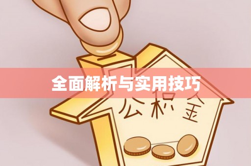 京山全面解析与实用技巧