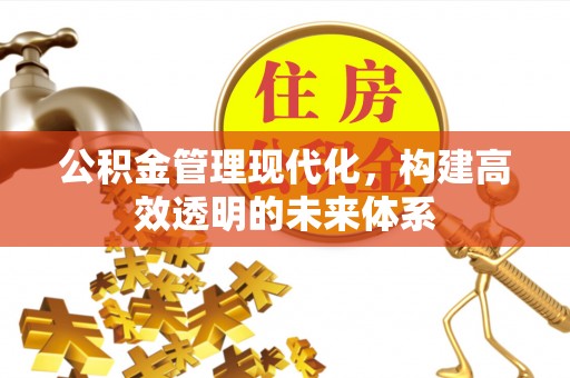 京山公积金管理现代化，构建高效透明的未来体系
