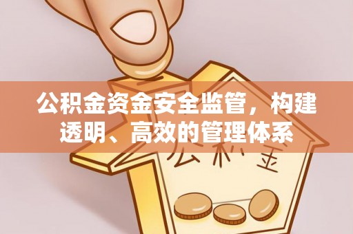 京山公积金资金安全监管，构建透明、高效的管理体系