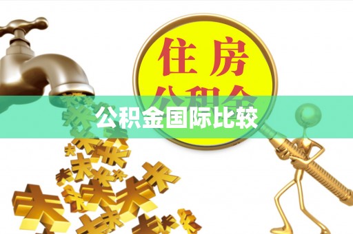 京山公积金国际比较