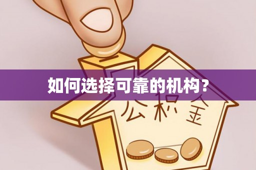 京山如何选择可靠的机构？