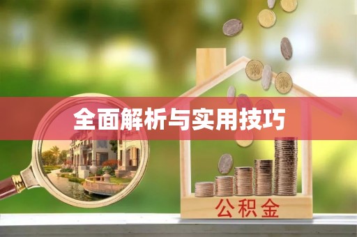 京山全面解析与实用技巧