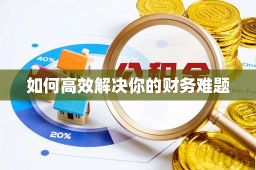 京山如何高效解决你的财务难题