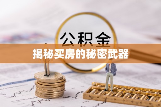 京山揭秘买房的秘密武器
