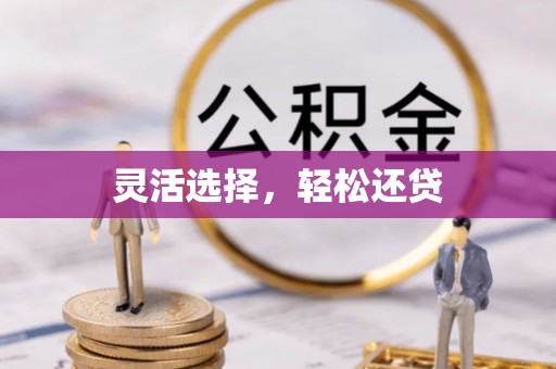 京山灵活选择，轻松还贷