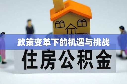 京山政策变革下的机遇与挑战