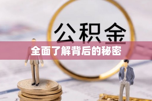 京山全面了解背后的秘密