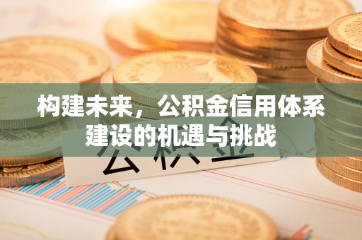 京山构建未来，公积金信用体系建设的机遇与挑战
