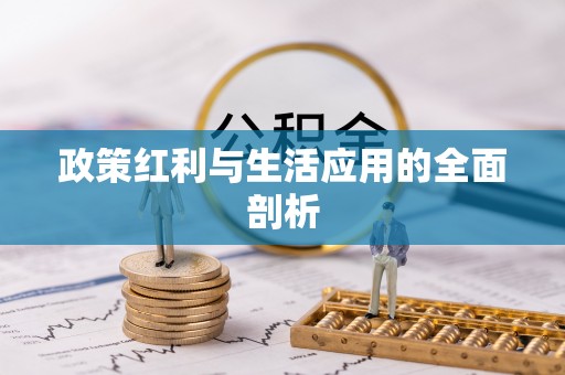 京山政策红利与生活应用的全面剖析