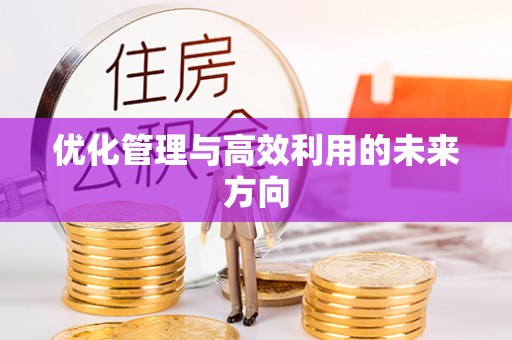 京山优化管理与高效利用的未来方向