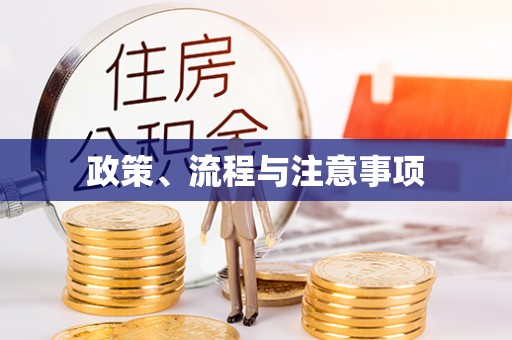 京山政策、流程与注意事项