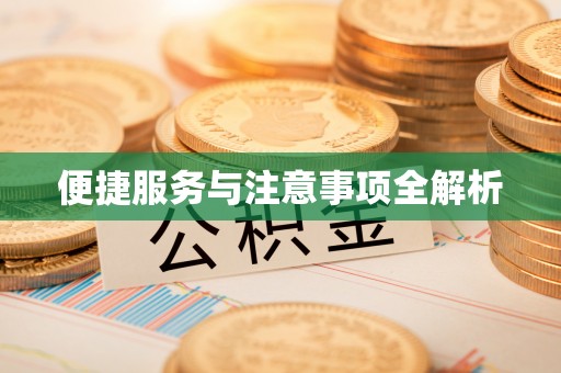 京山便捷服务与注意事项全解析