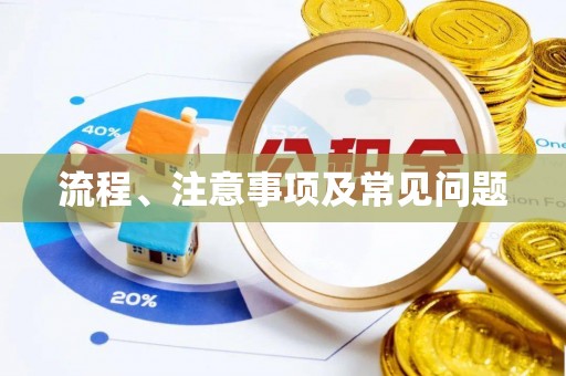 京山流程、注意事项及常见问题