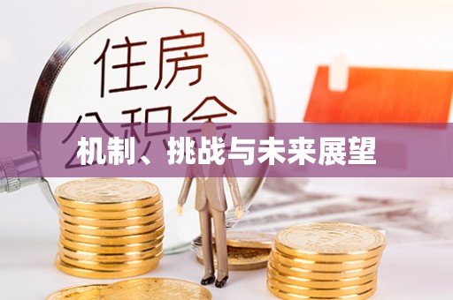 京山机制、挑战与未来展望