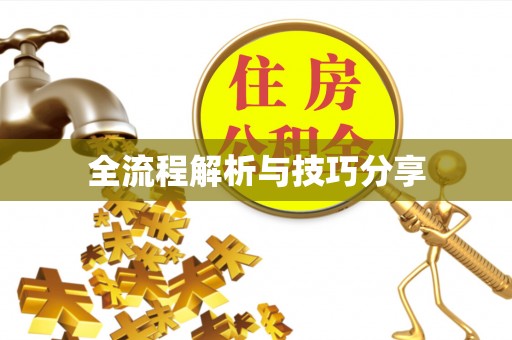京山全流程解析与技巧分享